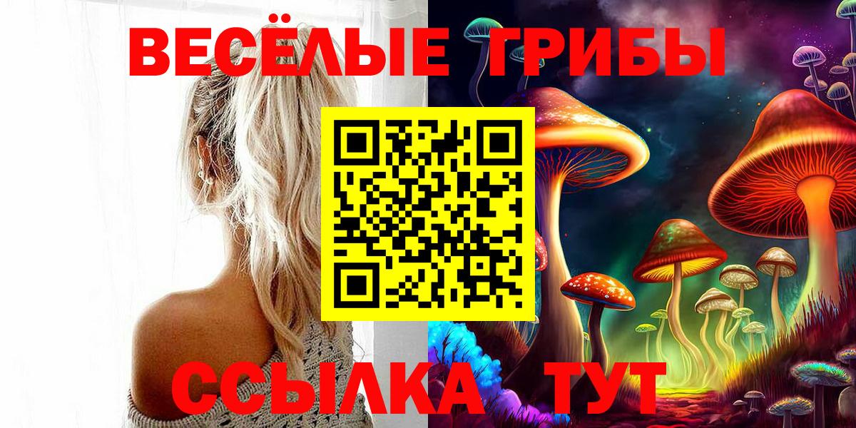 Галлюциногенные грибы мухоморы Тимашёвск