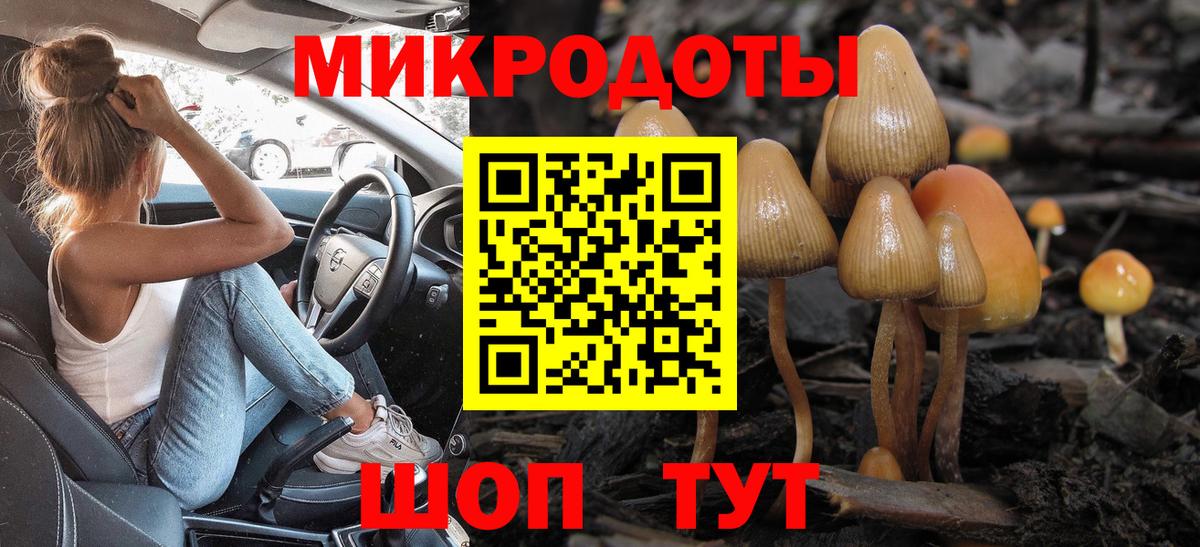 Тимашёвск  Псилоцибиновые грибы прущие грибы  дарнет шоп  Вход с VPN 